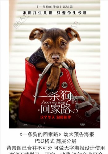 电影一条狗的回家路竖版预告海报
