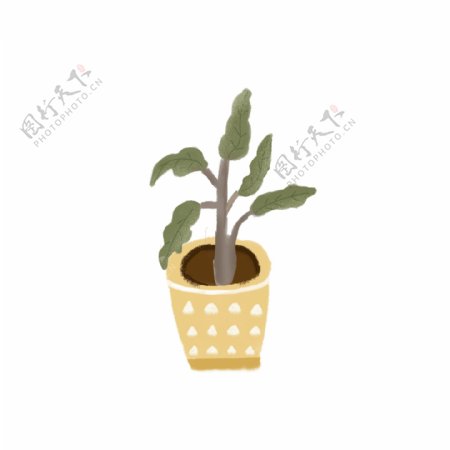 家庭盆栽植物绿色黄色花盆植物元素