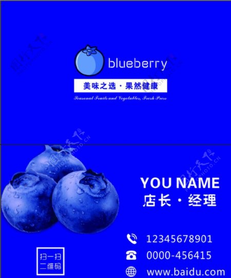 蓝莓名片