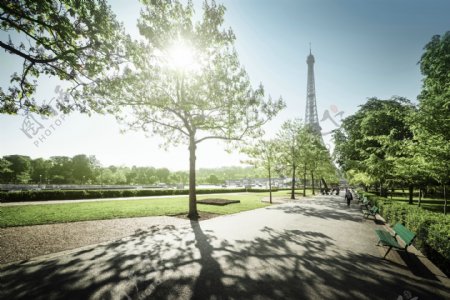 巴黎公园美景风景画