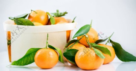 水果柑橘