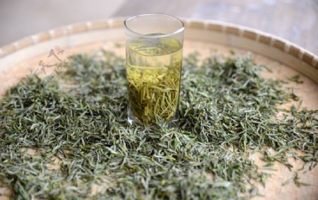 茶茶叶茶道茶文化绿茶