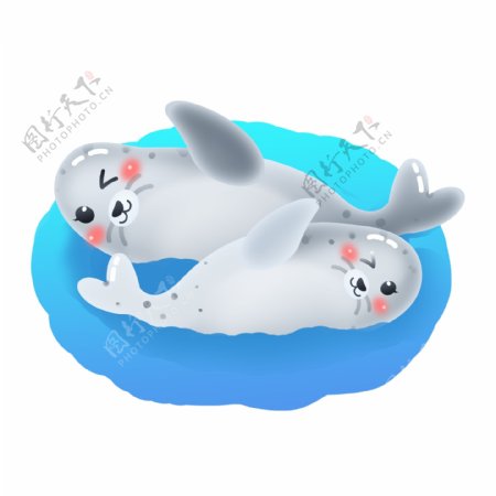 国际海豹节卡通可爱海豹