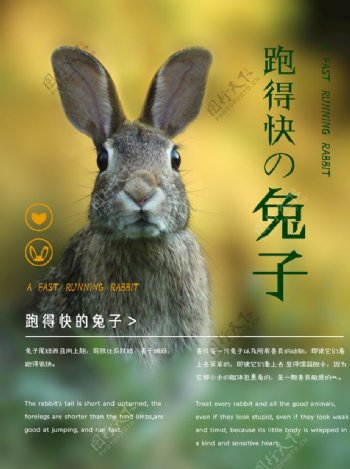 清新励志兔子海报