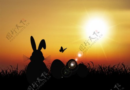 夕阳下的兔子和彩蛋剪影