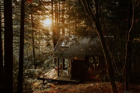 森林木屋