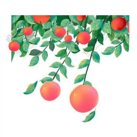 苹果水果插画png元素