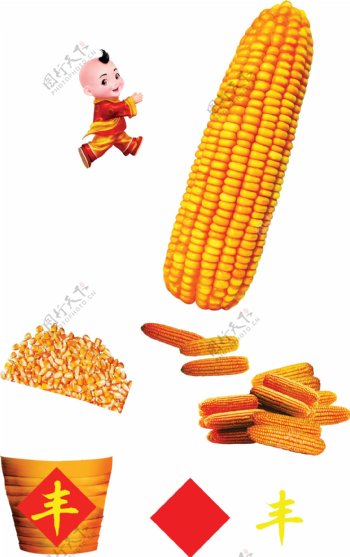 玉米丰收图