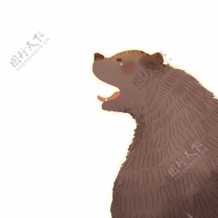 手绘一只熊动物设计