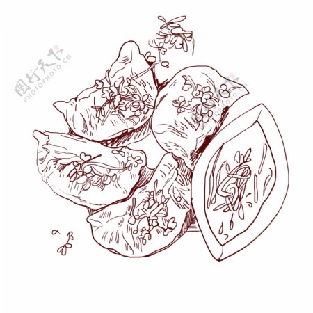 线描美食饺子插画