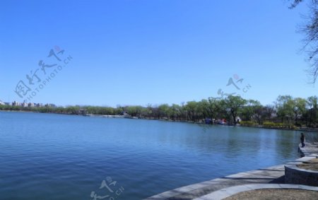 玉渊潭风景