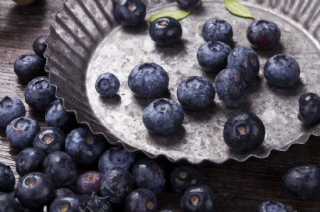 新鲜浆果蓝莓实物图摄影图