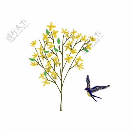 春天黄色小花的树枝和燕子PNG