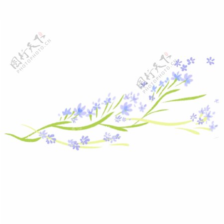 紫色的春天花藤插画
