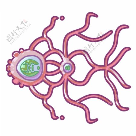 大肠杆菌细菌插画