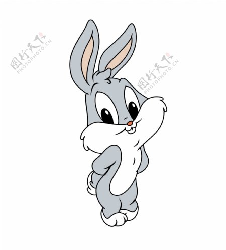 兔子小白兔