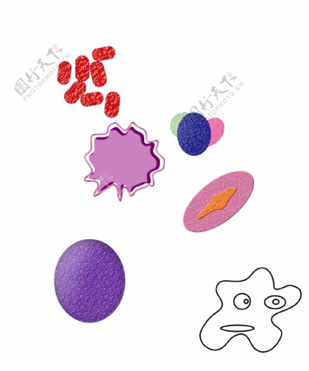 单细胞生物的细菌