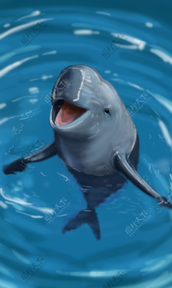写实风格手绘白鳍豚海豚免抠png元素