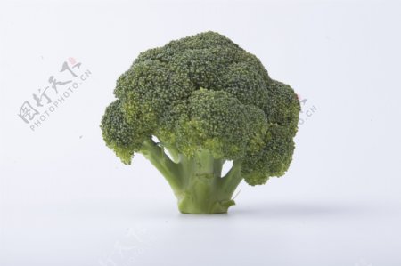 新鲜花菜实物图摄影图1