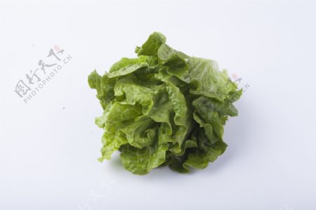 实物图摄影图新鲜蔬菜生菜1