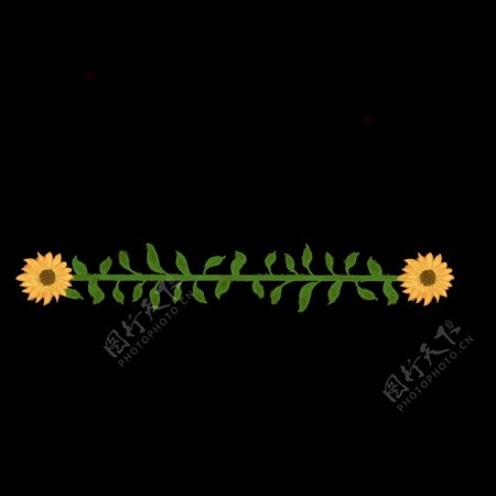 小花植物分割线插画