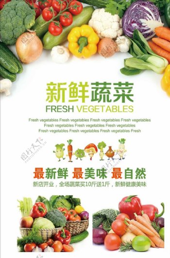 简约大气新鲜蔬菜单页设计