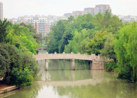 小桥流水湿地公园