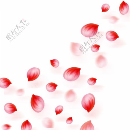 浪漫玫瑰花瓣漂浮元素