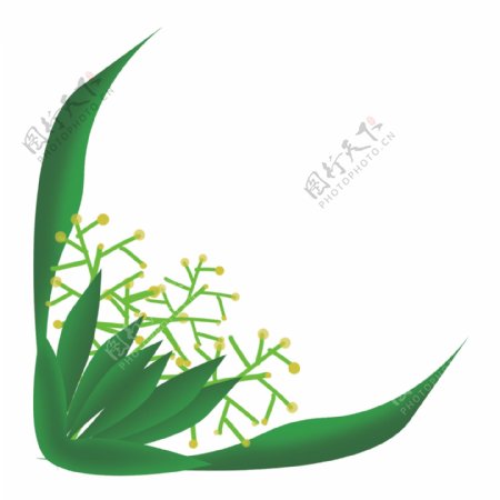 水彩植物装饰PNG免抠图