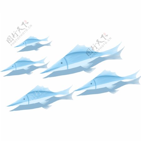 深海动物蓝色鱼群