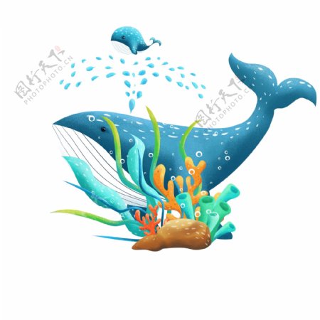 动物鲸鱼亲子海底植物插画png素材元素