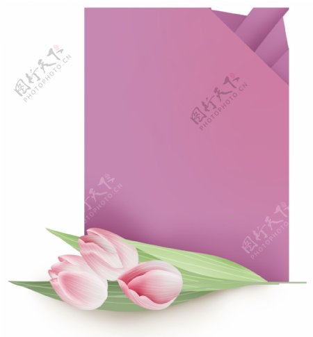 粉色郁金香提示框