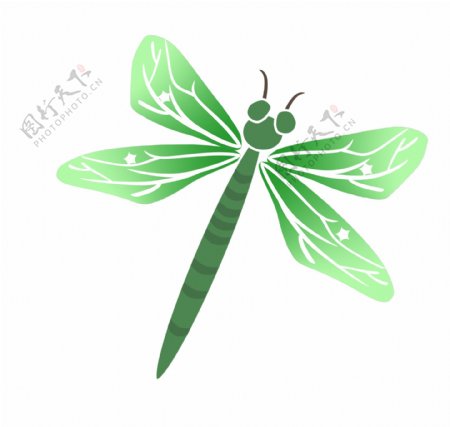 绿色蜻蜓装饰