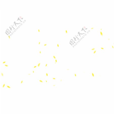 黄色花瓣漂浮物