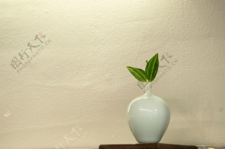 装饰花瓶绿植摄影