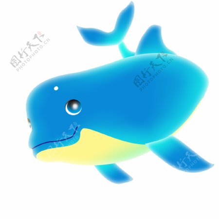海洋蓝色海豚