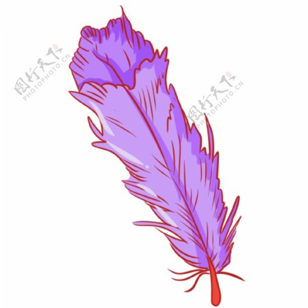 紫色动物羽毛
