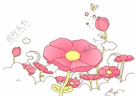 韩国卡通时尚鲜花