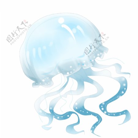 蓝色海洋水母