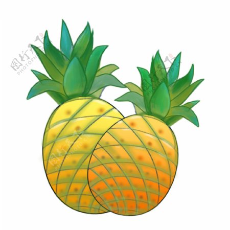 夏季水果菠萝