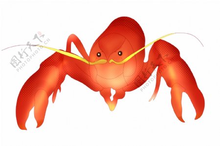 红色龙虾动物插画