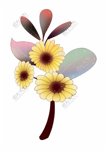 黄色花朵植物插画