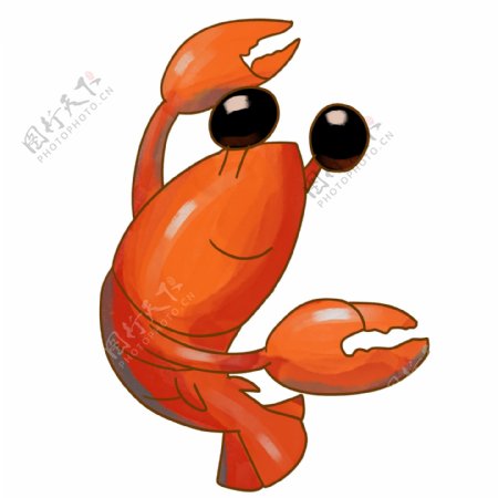 红色的动物龙虾插画