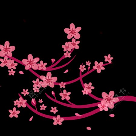 樱花花朵卡通插画