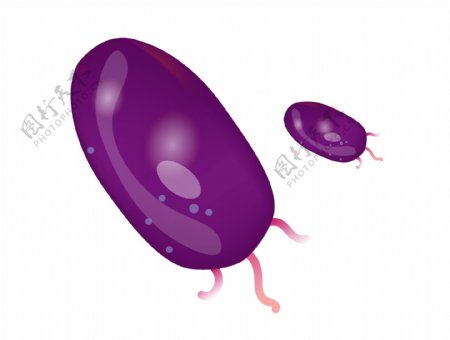 紫色的圆形细菌插画