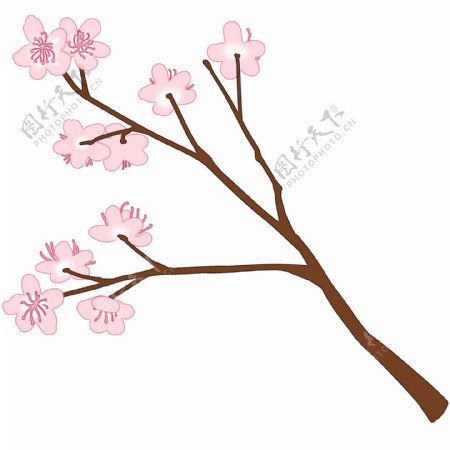 浪漫的粉色樱花插画