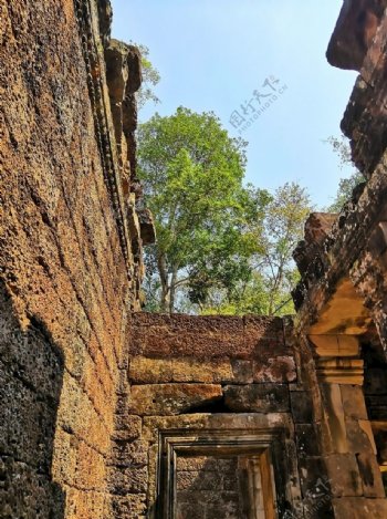 柬埔寨塔普伦庙古墓丽影