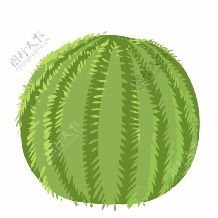 绿色圆形植物