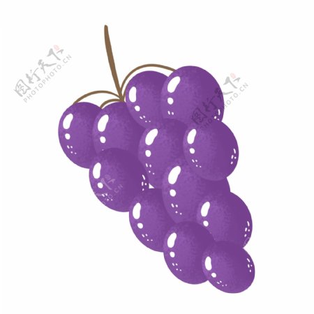 紫色晶莹可爱夏季紫葡萄