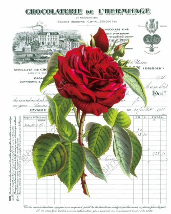 红玫瑰花打印喷绘